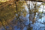 69 Pozza d'abbeverata sul sentiero dai Prati Parini a Botta di Sedrina